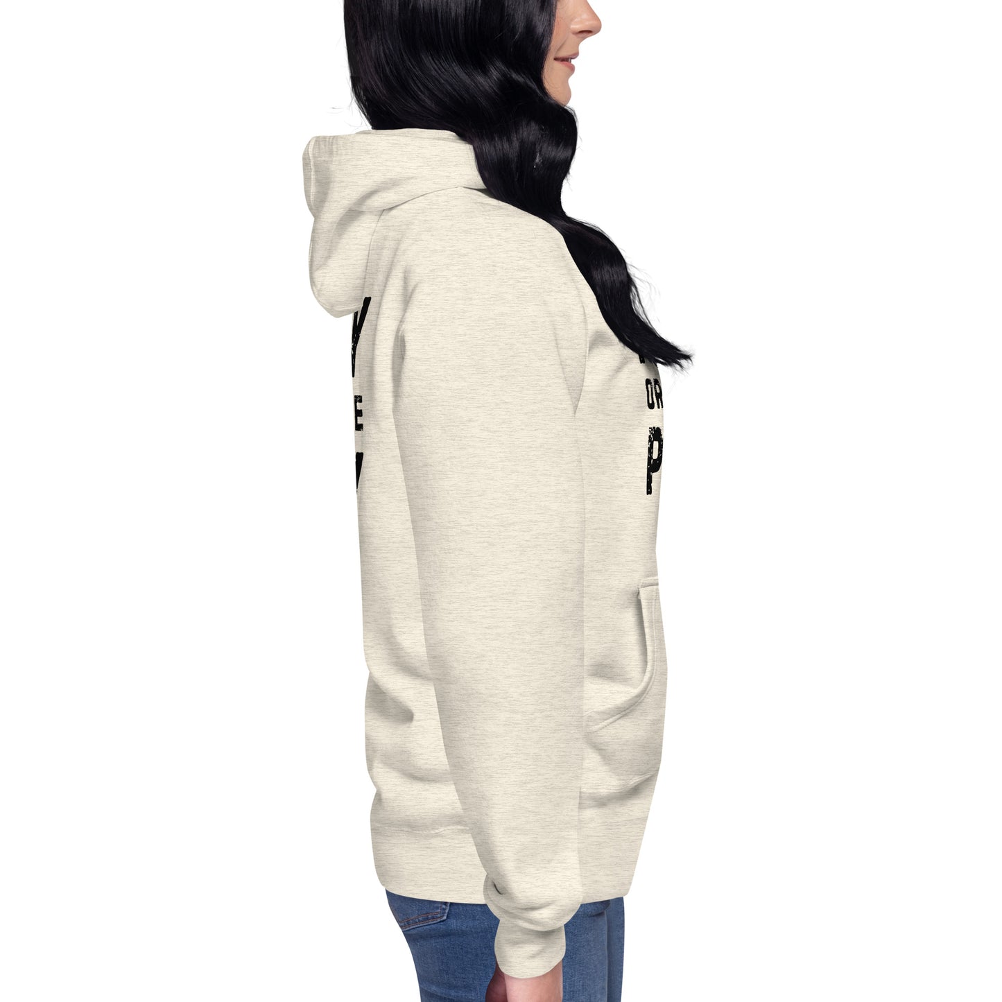 Pray or Become Prey Christian hoodie by Soul Good Merch, Scripture-inspired 1 Peter 5:8 hoodie, mid-weight streetwear fit, faith-forward apparel encouraging prayer and spiritual alertness